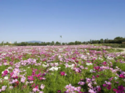 Kuwana Park Hotel