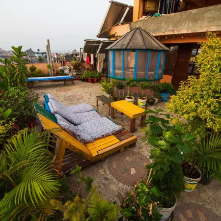 Hotel Pomelo House
