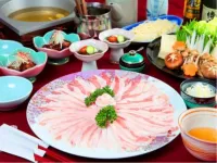 Hotel Osaki - Suối nước nóng