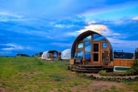 Amanya 1 -Bed King Lion Tent
