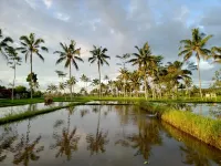 Pesona Java Ijen Homestay Hotels in Licin