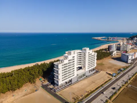 Pine Art Label Hotels in Gangneung-si