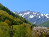Natural House Pure 21