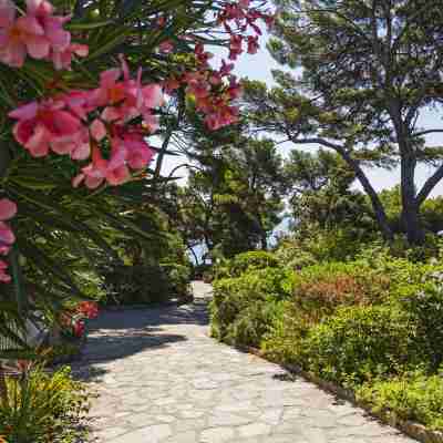 La Résidence du Provençal · 23 appartements et 2 Restaurants · Var Hotel Exterior