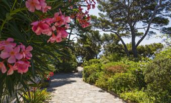 Hôtel le Provençal à Giens - Bord de Mer