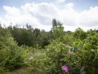 Skjutsmåla