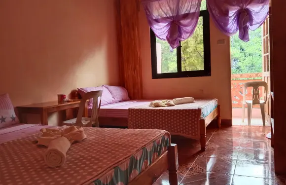 卡尼普胡松樹景色小屋酒店