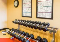 Cambria Hotel Raleigh-Durham Airport - Gym