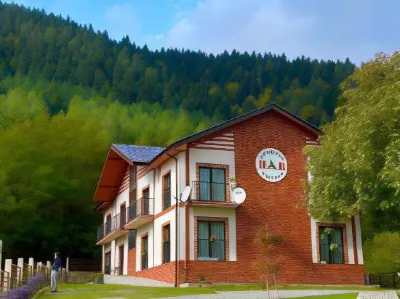 Holiday Borjomi Hotel di 