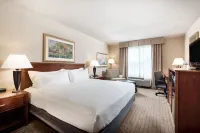 Holiday Inn JOHNSTOWN-GLOVERSVILLE by IHG Hotels in Amsterdam