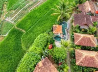 Janur Bungalow Hotel di Pagerharjo
