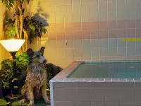 Ryokan Takimuraya Các khách sạn ở Ninohe