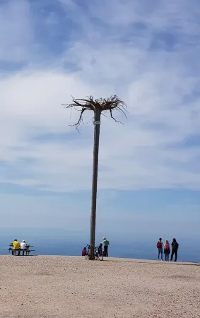 Ferienwohnung "tannenballett" im Schwarzwald