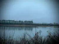 Pickwick- Screened Patio ON Tennessee River 7th Nt FREE- Dogs Allowed