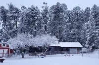 Quiet cabin nestled under Mogollon Rim