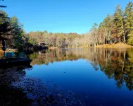 Peaceful Lakeside Haven w/private dock; boating, hiking swimming just steps away