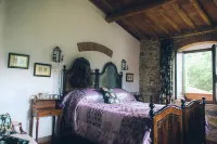 Beautiful historic 7-bedroom Villa on organic olive farm, pool & sunset views
