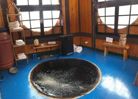 Gorgeous mountain views and private!