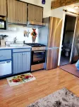 The Taiga 2, Studio Apartment