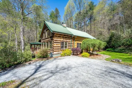Secluded Cabin on Private 6 Acres w/ 2 Waterfalls & 4 Streams Near Brevard