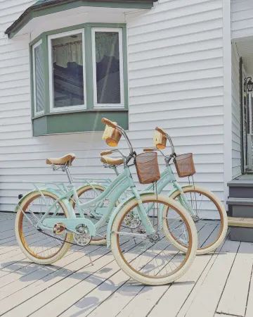 Historic French Country-Built In 1854 / Free Bikes