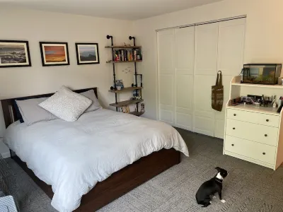 Large house in the mountains, (pre-approved dogs welcome Hotel in zona Georgetown, Colorado