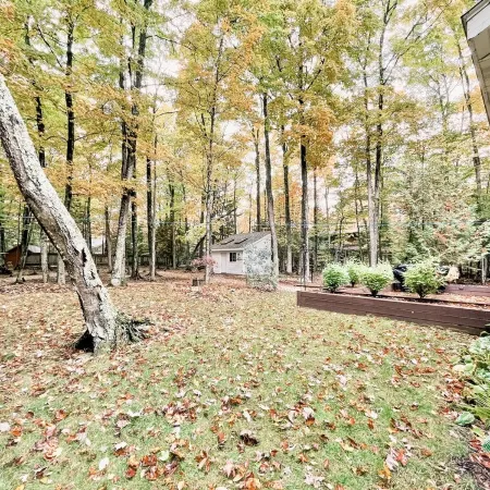 Cozy cottage tucked in the woods. 5 minutes from Cave Point and Whitefish Dunes.