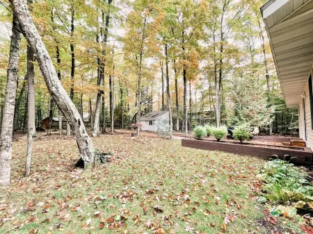 Cozy cottage tucked in the woods. 5 minutes from Cave Point and Whitefish Dunes.