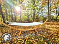 Charming 4-bedroom farmhouse in tranquil Reidsville with WiFi, AC, BAR