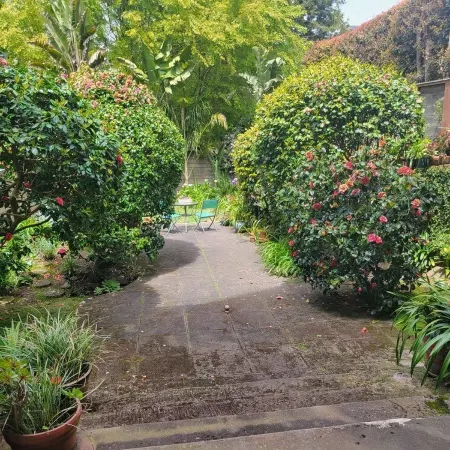 Private Charming Garden Guest Suite Presidio Hts.