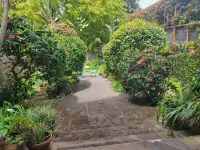 Private Charming Garden Guest Suite Presidio Hts. 리치몬드 구역 호텔
