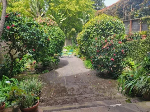 Private Charming Garden Guest Suite Presidio Hts.