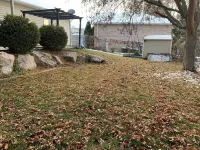 SUPER SPACIOUS COMFY & CLEAN Hotels in Roy