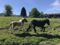Apartment with a unique view
