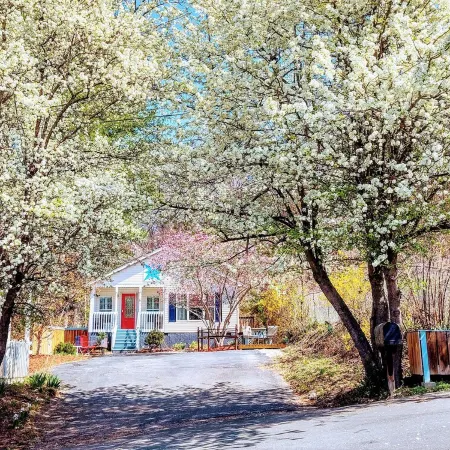 Rector Street Retreat. Downtown Bryson City Cottage Now Booking for 2026!