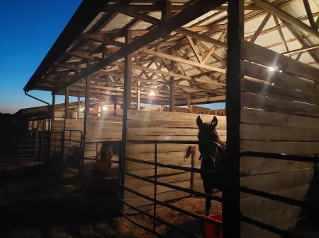 Glamping Tent at Noble Pine Campground