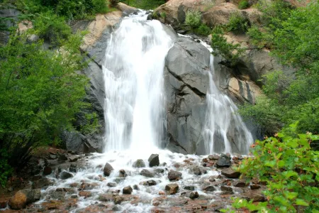 “SWEET ROSE” Cottage!  Vintage Glam!  GOG, Horses, Manitou!