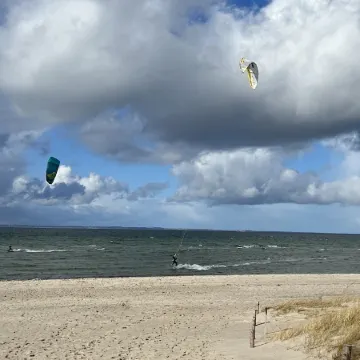 Nordisch gut