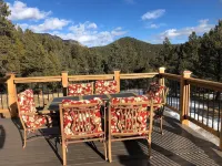 This is Colorado! Stunning views, killer hot tub, 12 acres, game barn+huge deck! - Gym