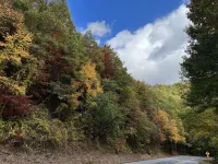 Log cabin, Blue Rdg. Mtn.,  A.T., Helton Crk falls, Vogel St. Park, near Helen