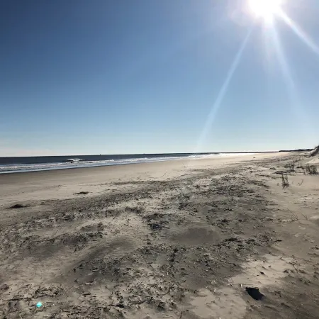 Beach Times & Tee Times!