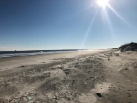 Beach Times & Tee Times!