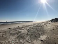 Beach Times & Tee Times!