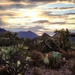 Tucson Desert Crystal Cabin Historic Ranch 2BR with Amazing Mountain View