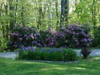 Cashiers, NC Mountain Family Retreat Close to Town