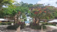 Rincon Beach Resort - Beach