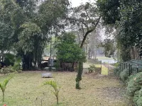 Jungleciti House