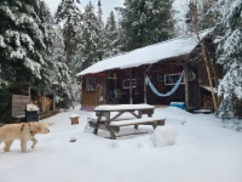 Cabin-7 Minutes to Ski Stratton-Woodstove-Firepit-Brook on Property-Views-Dog OK
