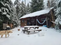 Cabin 7min to Ski Stratton-Wood Stove,Starry Skies,Fire Pit,Views,Dogs OK