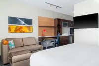 TownePlace Suites by Marriott Detroit Allen Park - Wifi